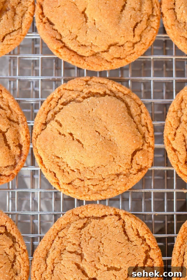 Brown Butter Ginger Cookies Recipe — Chewy Spiced Cookies 2 Brown Butter Ginger Cookies