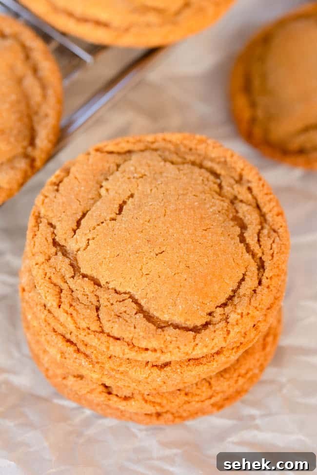 Brown Butter Ginger Cookies Recipe — Chewy Spiced Cookies 4 Brown Butter Ginger Cookies