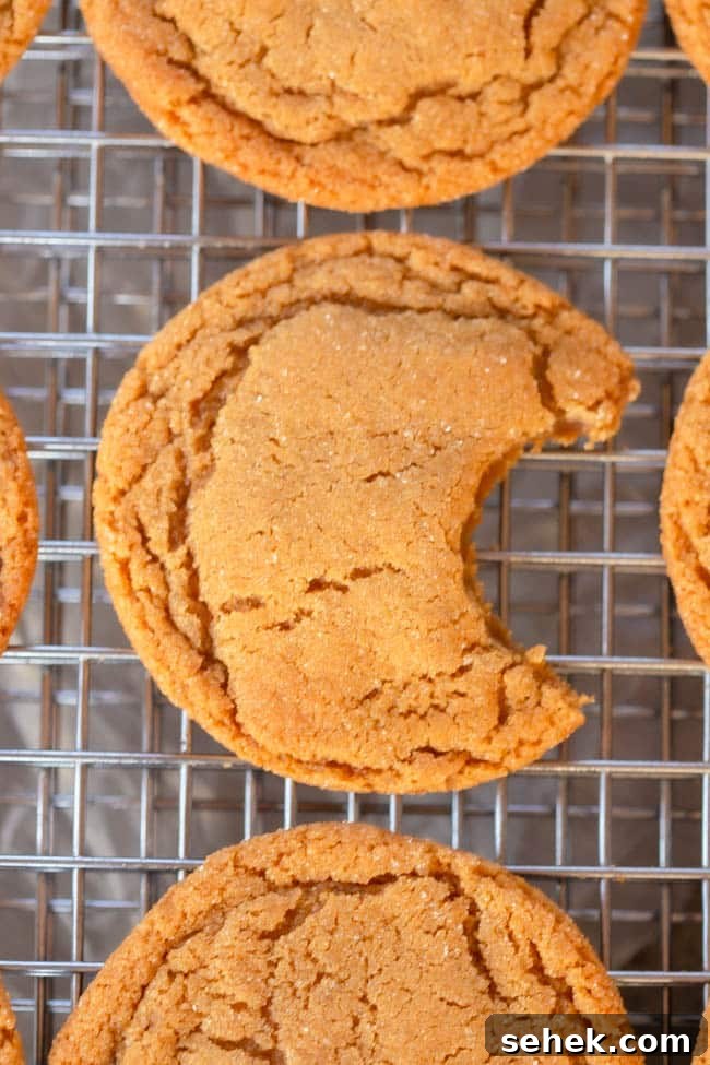 Brown Butter Ginger Cookies Recipe — Chewy Spiced Cookies 5 Brown Butter Ginger Cookies