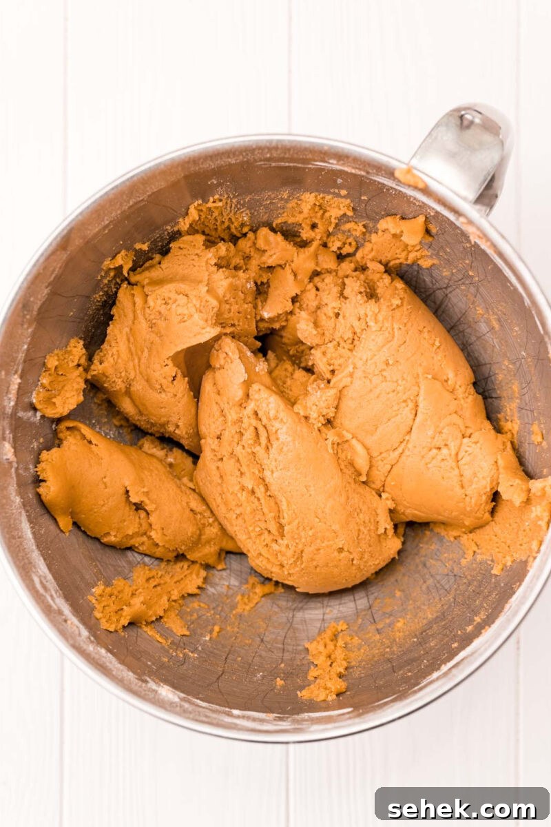 Chewy Peanut Butter Cookies with Crispy Edges: Simple Recipe 6 peanut butter cookie dough in a mixing bowl