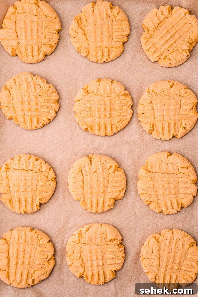Chewy Peanut Butter Cookies with Crispy Edges: Simple Recipe 8 baked peanut butter cookies on a baking sheet