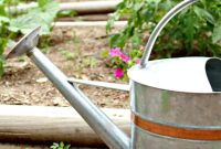 Proper Garden Watering: Practical Tips for Healthy Plants