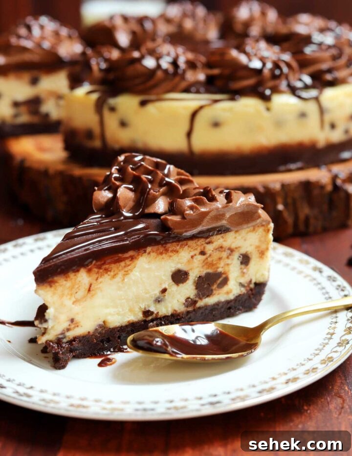 Chocolate Chip Cheesecake with a Brownie Crust 11 slice of brownie bottom chocolate chip cheesecake on plate with spoon