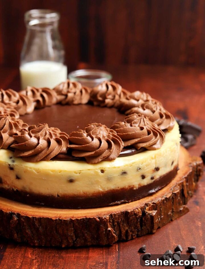 Chocolate Chip Cheesecake with a Brownie Crust 3 whole brownie bottom chocolate chip cheesecake on board