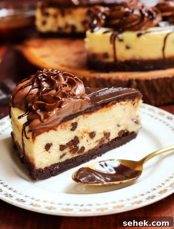 Chocolate Chip Cheesecake with a Brownie Crust 5 slice of brownie bottom chocolate chip cheesecake on plate with spoon