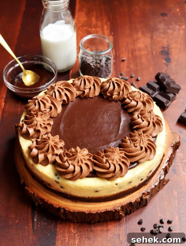 Chocolate Chip Cheesecake with a Brownie Crust 6 whole brownie bottom chocolate chip cheesecake on board