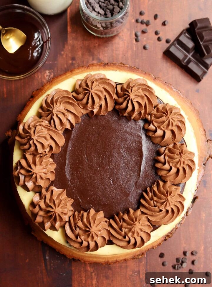Chocolate Chip Cheesecake with a Brownie Crust 7 whole brownie bottom chocolate chip cheesecake on board view from top