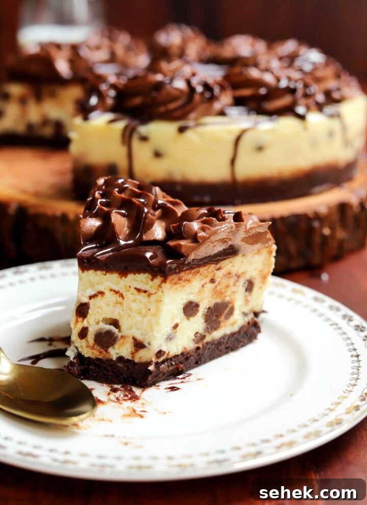 Chocolate Chip Cheesecake with a Brownie Crust 9 chocolate chip brownie bottom cheesecake slice on a plate with bite