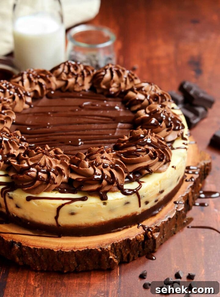 Chocolate Chip Cheesecake with a Brownie Crust 10 whole brownie bottom chocolate chip cheesecake on board with chocolate drizzle