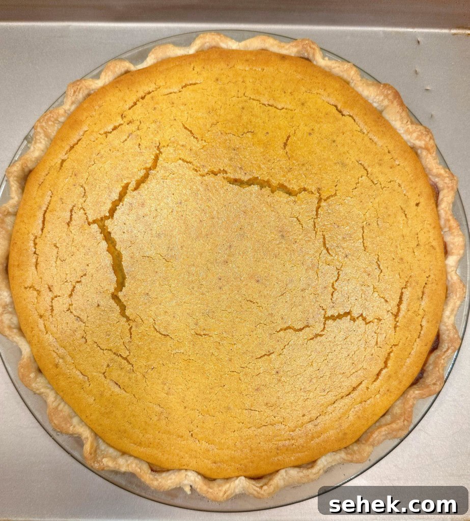 Sweet Potato Pecan Pie: Classic Holiday Dessert Recipe 8 Baked Sweet Potato Pie.