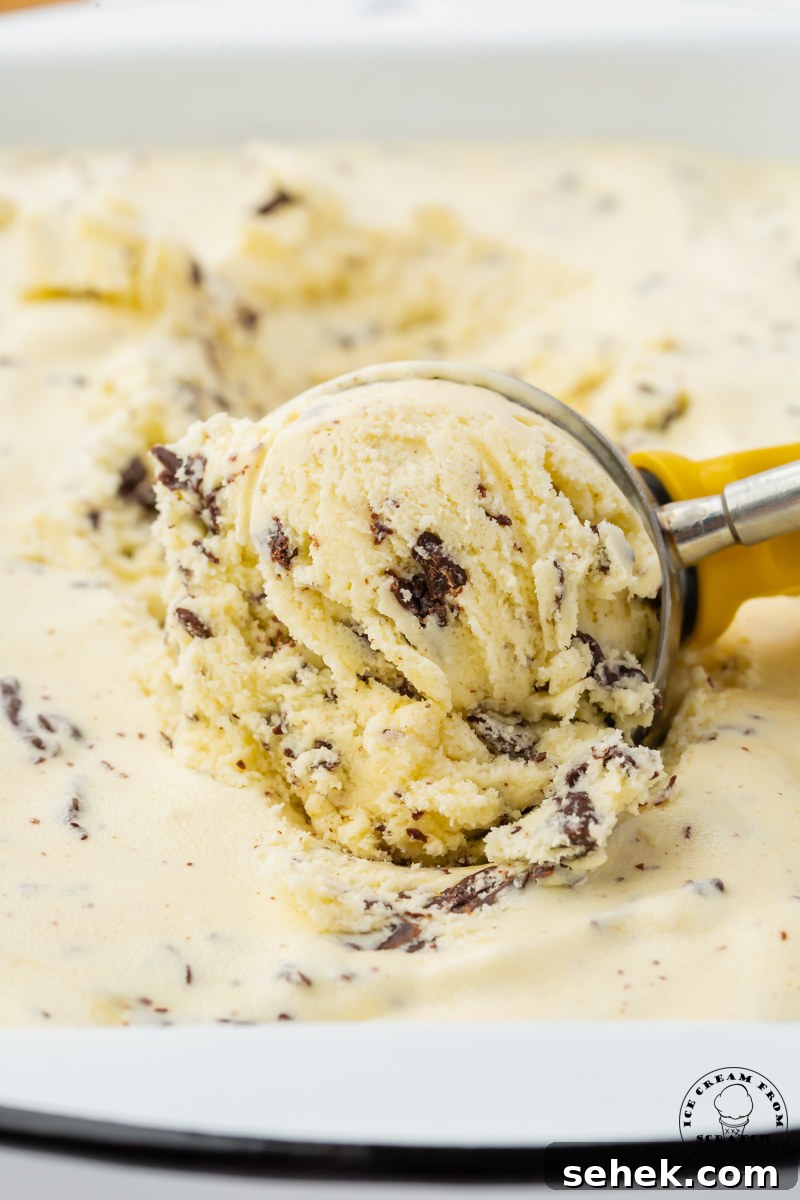 stracciatella ice cream being scooped, close up image.