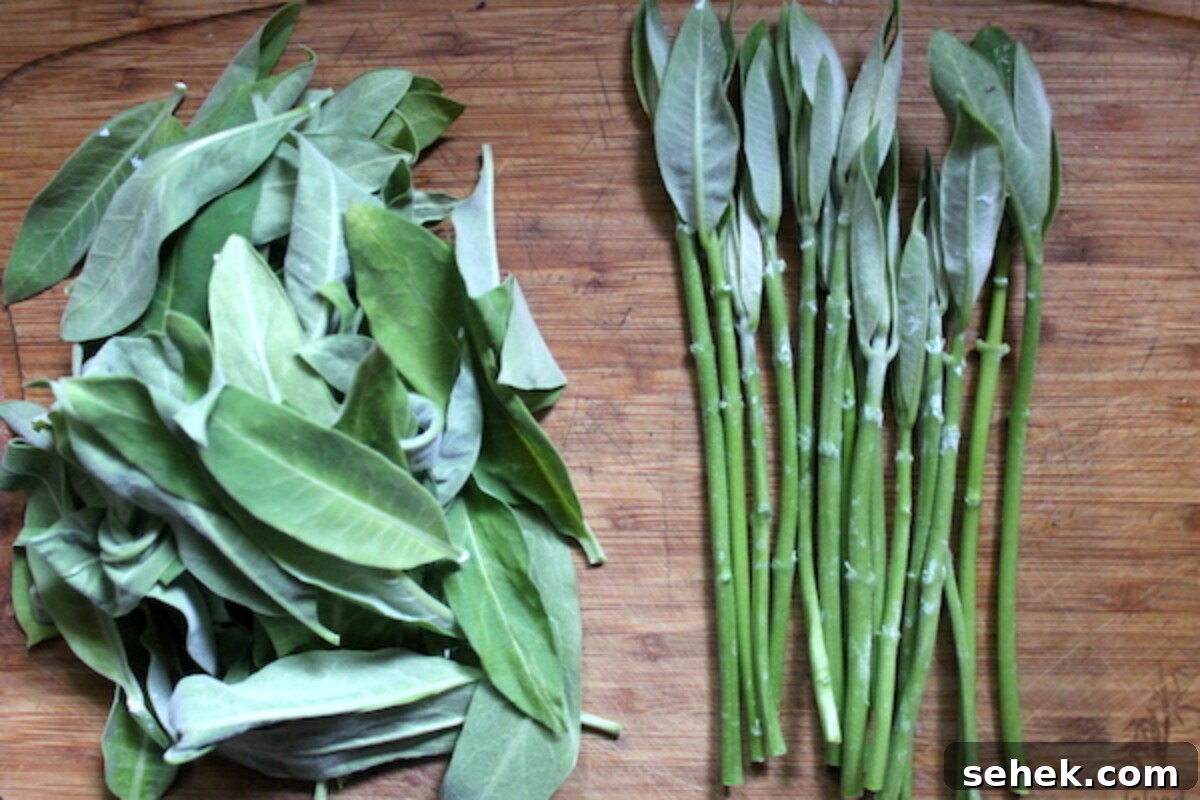 Eat Milkweed to Save Monarch Butterflies: How You Can Help 5 Preparing milkweed shoots and leaves for cooking