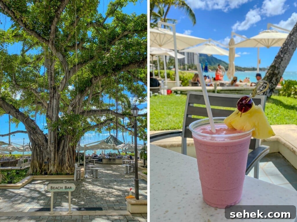 Waikīkī Beach Bar Cocktails with Ocean Views 4 Entry to The Beach Bar at the Moana Surfrider with the Banyan tree and bar area.