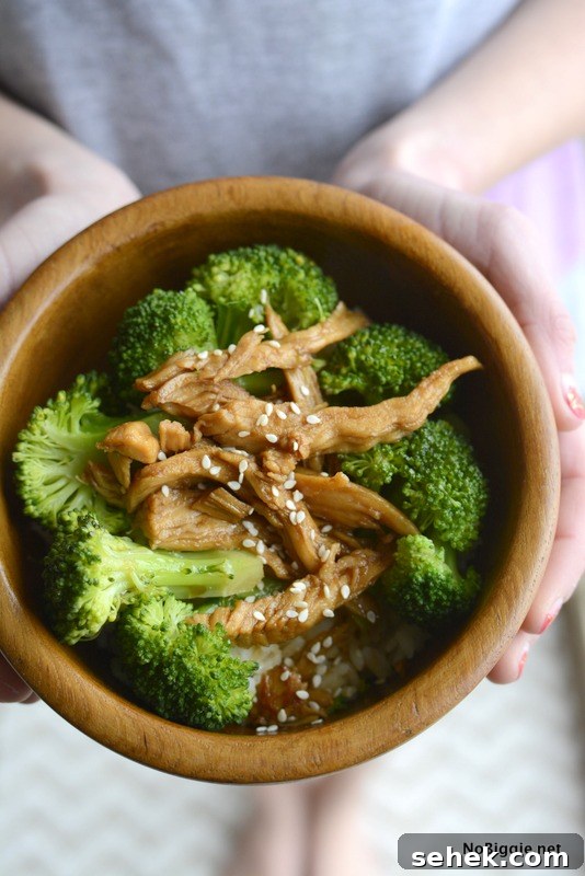 Classic Teriyaki Chicken Recipe with Sticky Glaze and Rice 2 chicken teriyaki just like take out! | NoBiggie.net
