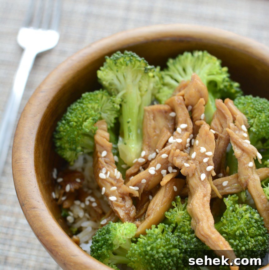 Classic Teriyaki Chicken Recipe with Sticky Glaze and Rice 3 teriyaki chicken | NoBiggie.net