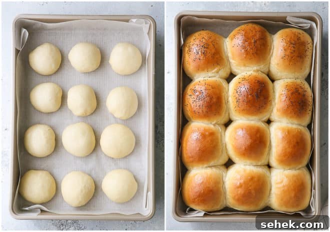Homemade Buns for Sandwiches, Sliders & Burgers 8 slider buns before and after baking