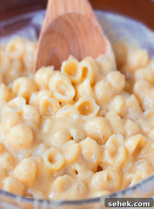 vegan cheese sauce recipe vegan cheese sauce recipe