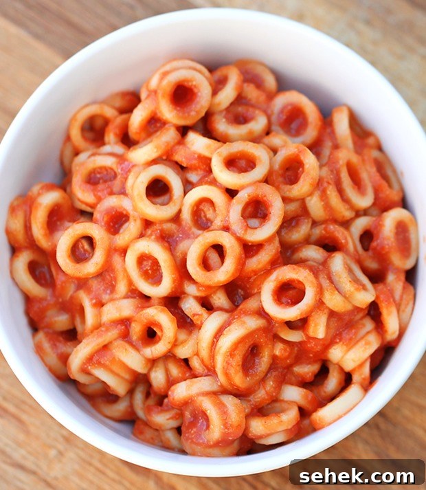 homemade spaghettios recipe homemade spaghettios recipe