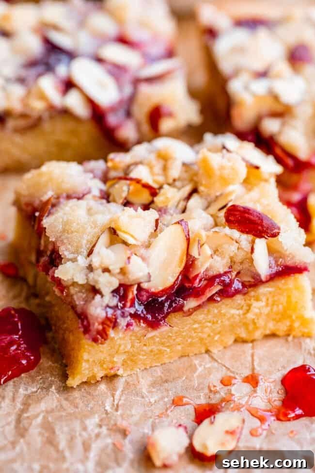 Raspberry Almond Streusel Crumble Bars 2 picture of raspberry shortbread bars shot from the side with jam and almond streusel.
