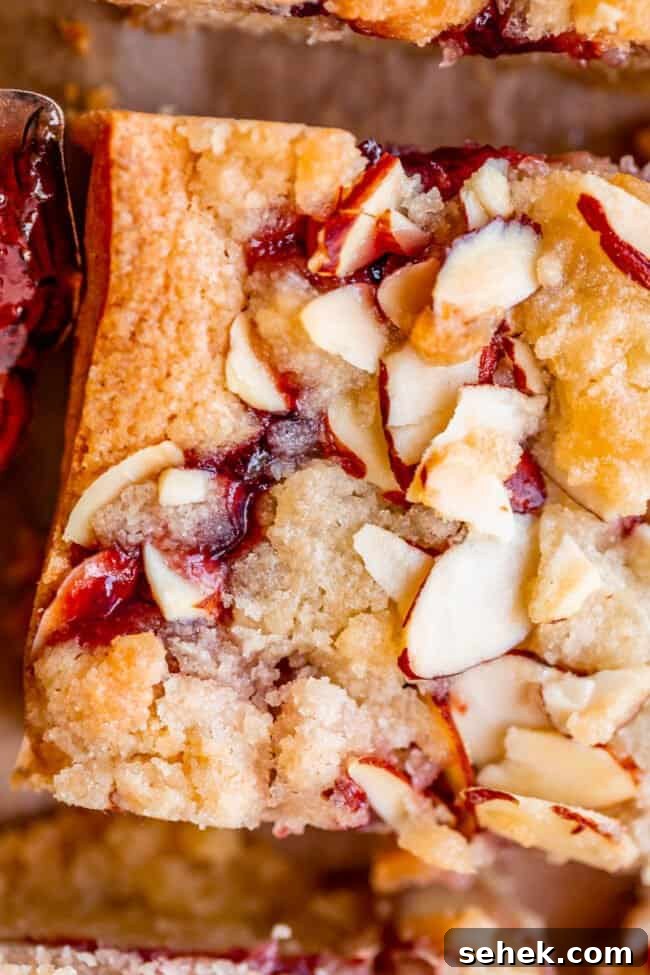 Raspberry Almond Streusel Crumble Bars 9 slice of raspberry crumble bar from overhead.