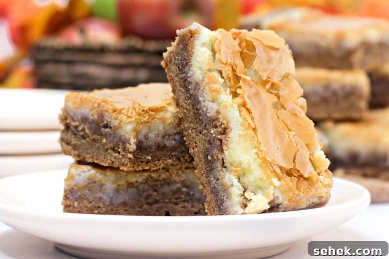 harvest spice bars on plate