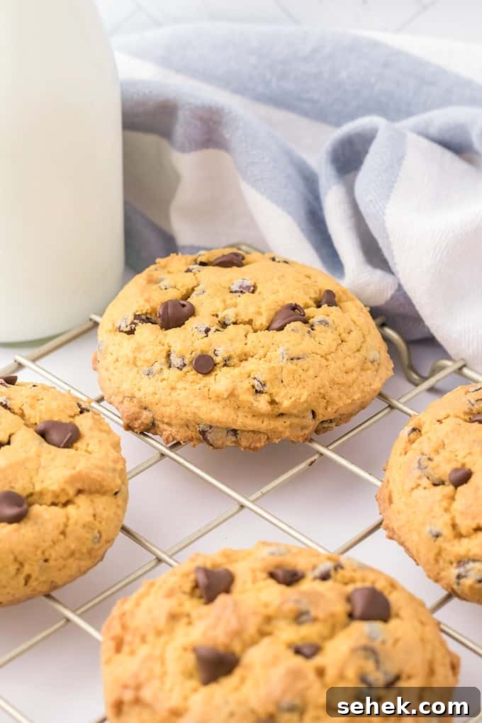 Cream cheese chocolate chip cookies on a cooling rack.