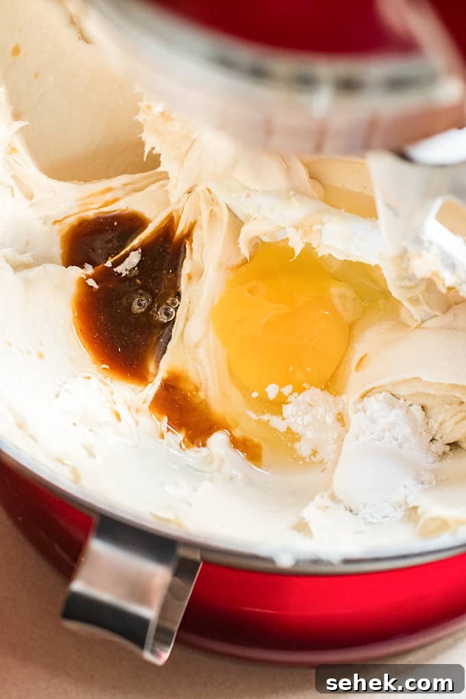 Ingredients in a mixer: cream cheese, egg, vanilla, flour.