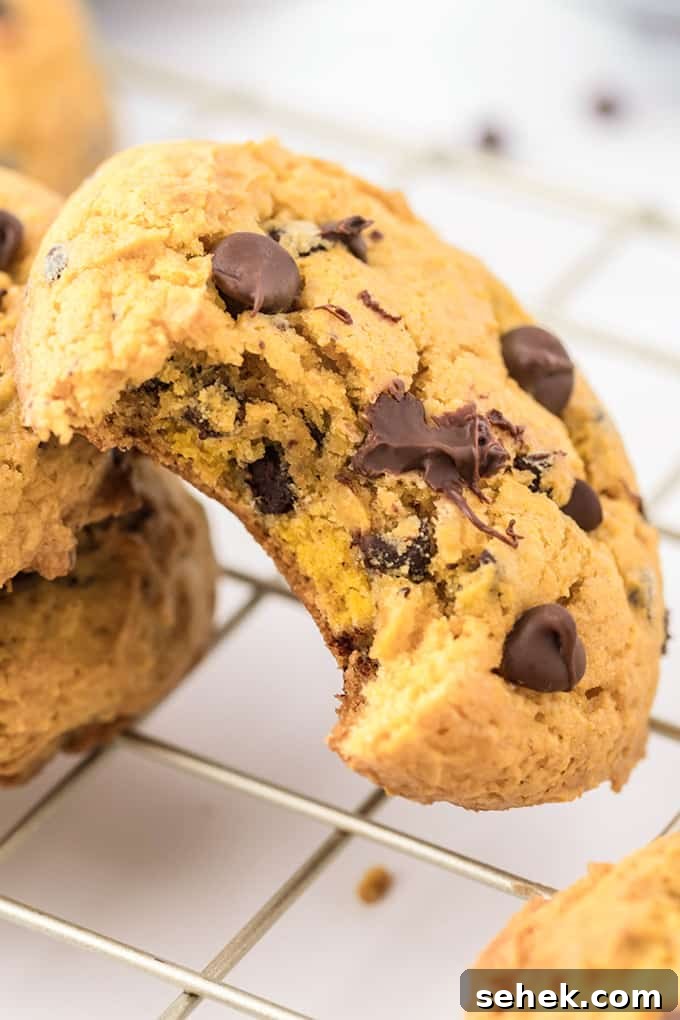 Close-up of a bite out of a cream cheese chocolate chip cookie
