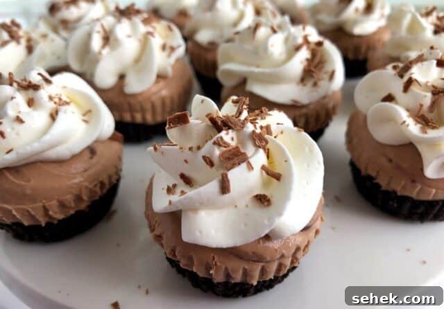 16 Simple St. Patrick’s Day Treats Kids and Adults Will Love 2 No Bake Irish Cream Mini Cheesecakes