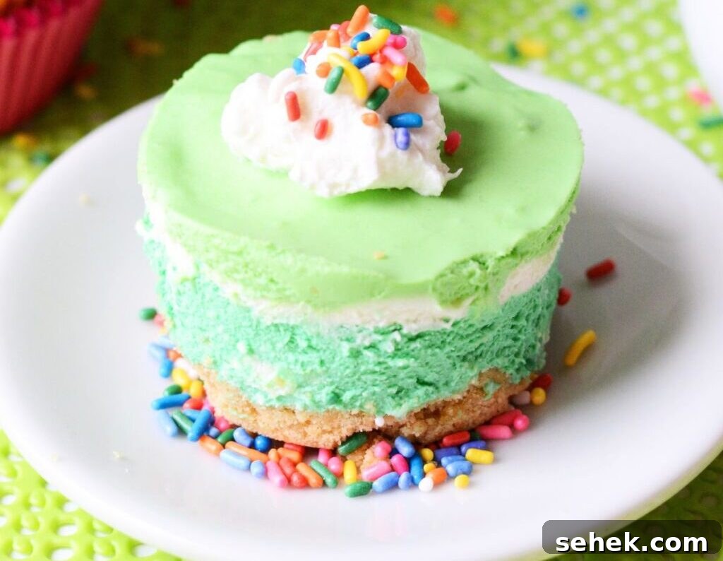 16 Simple St. Patrick’s Day Treats Kids and Adults Will Love 14 St Patrick's Day No Bake Cheesecake