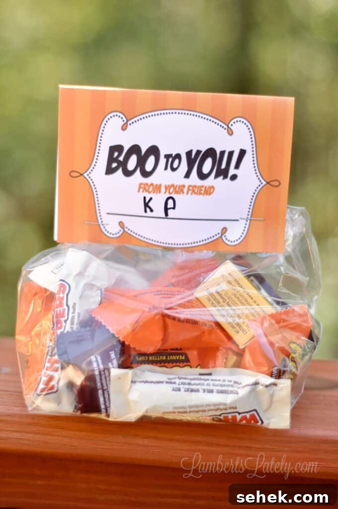 Printable Halloween Gift Tags PDF — Free Downloadable Labels 6 Free Printable Halloween Gift Tags - Boo to You