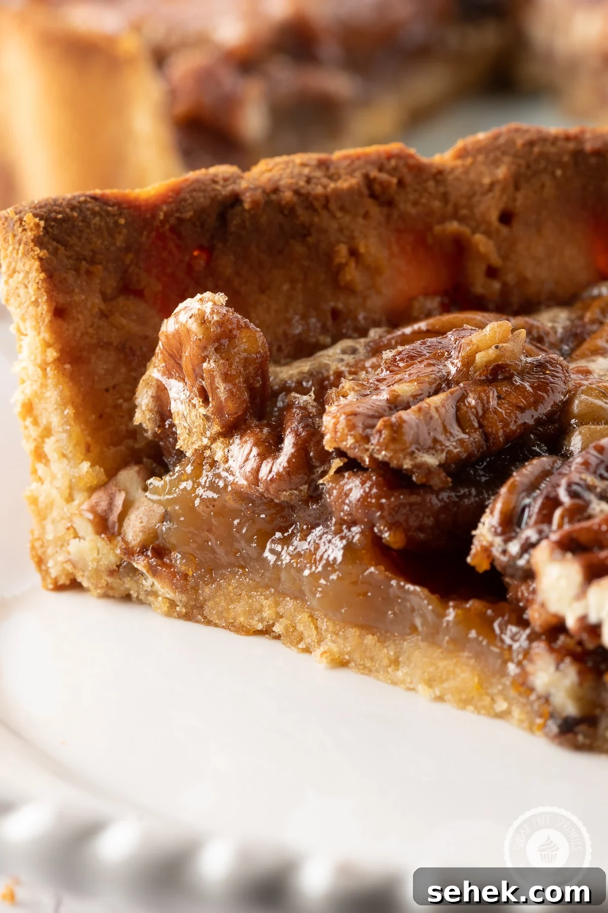 Sticky Sugar-Free Pecan Pie That Stays Gooey Even When Cold 14 Close up image of a slice of pecan pie with sticky glazed pecans and gooey caramel like filling