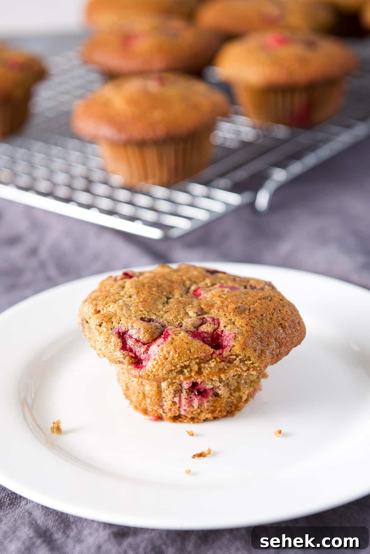 Cranberry Orange Muffins Recipe with Zesty Citrus Glaze 8 A white plate with a muffin on it with the wire rack in the background