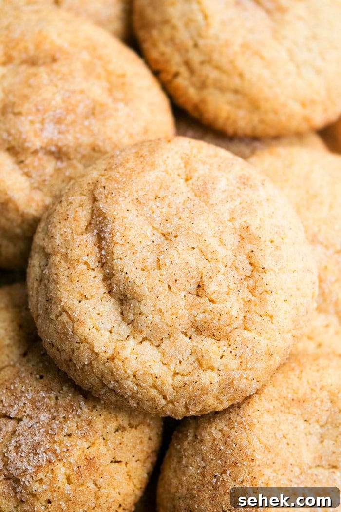 Soft Chewy Cinnamon Cookies Recipe 2 Closeup Shot of Easy Cinnamon Cookies.