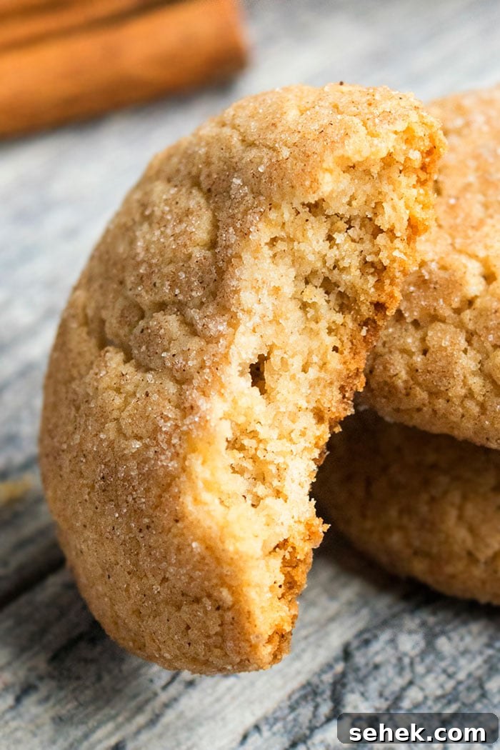 Soft Chewy Cinnamon Cookies Recipe 3 Closeup Shot of partially eaten cookie on wooden gray background.