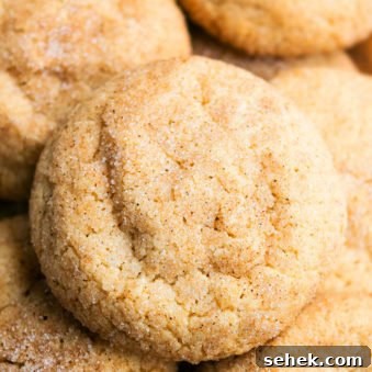 Soft Chewy Cinnamon Cookies Recipe 6 Closeup Shot of Best Easy Cinnamon Cookies.