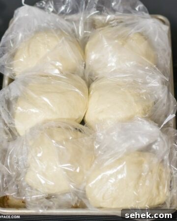 Bags of pizza dough on a sheet pan ready to go into the freezer.