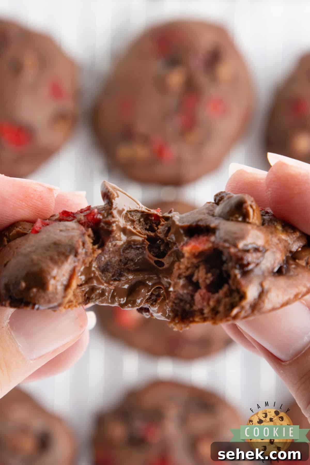 Double Chocolate Banana Split Cookies Recipe for Chocolate Lovers 5 Center of a Chocolate Banana Split Cookie.