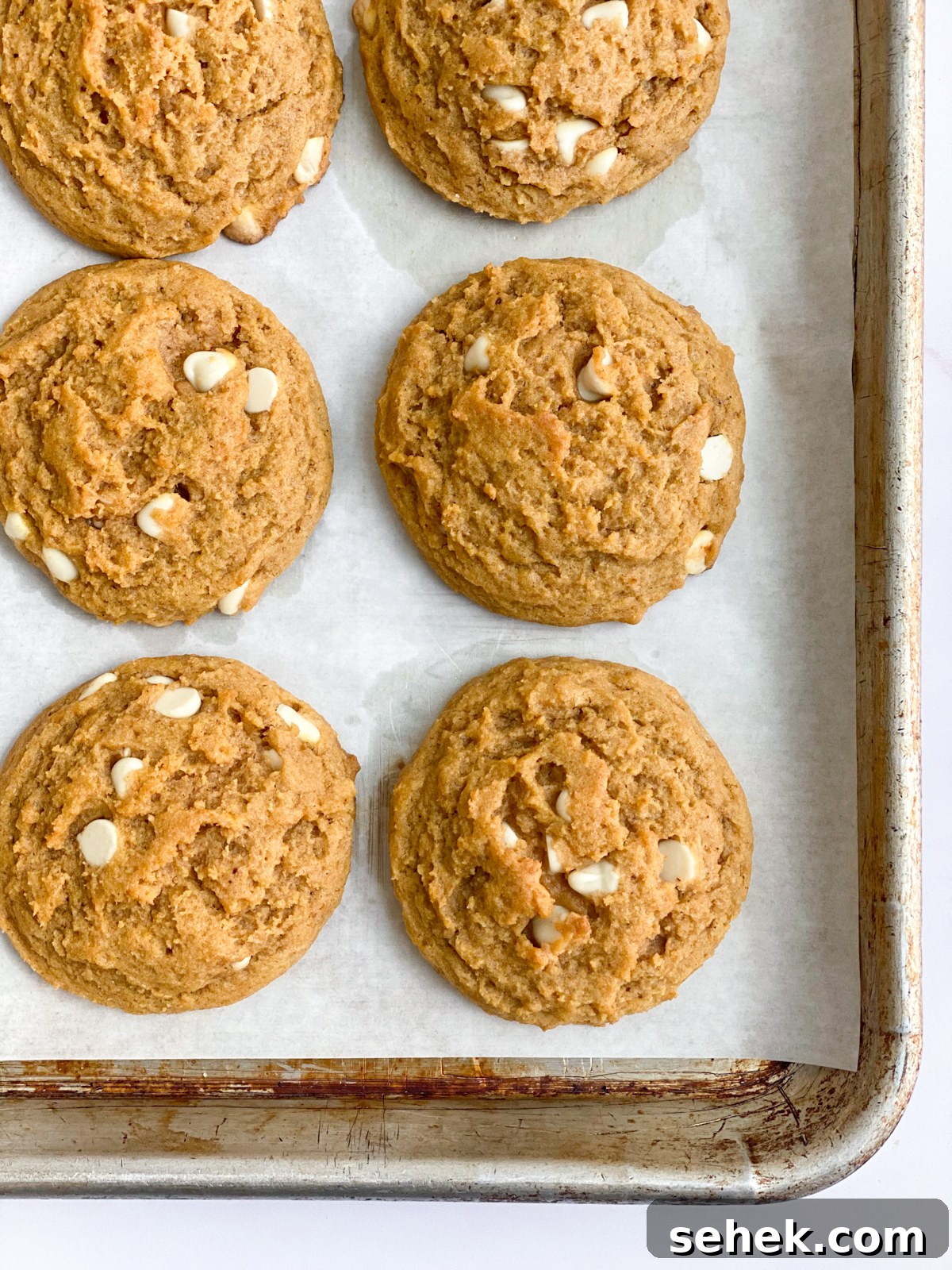 close up of pumpkin white chocolate chip cookies on a cookie sheet.
