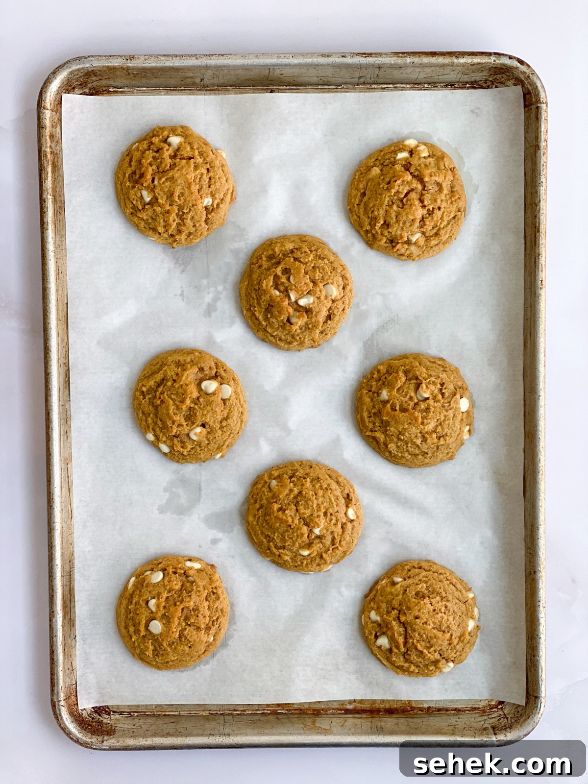 pumpkin white chocolate chip cookies after baking.