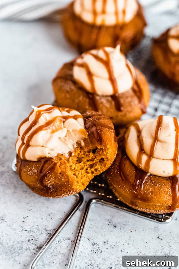 Pumpkin donuts with salted caramel cream cheese frosting pumpkin donuts topped with salted caramel cream cheese frosting and salted caramel sauce drizzle on a round wire rack