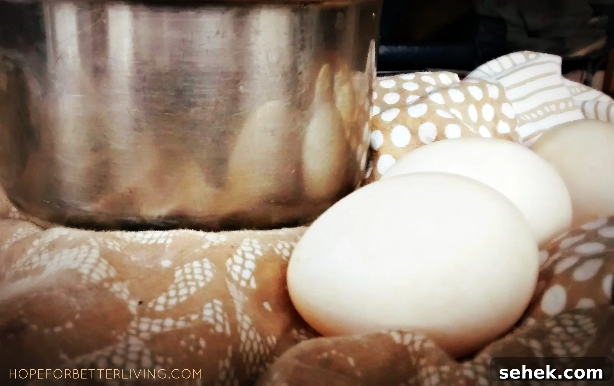 Perfectly Poached Duck Eggs: Step-by-Step Guide for Tender Yolks 2 img 5297 1 scaled