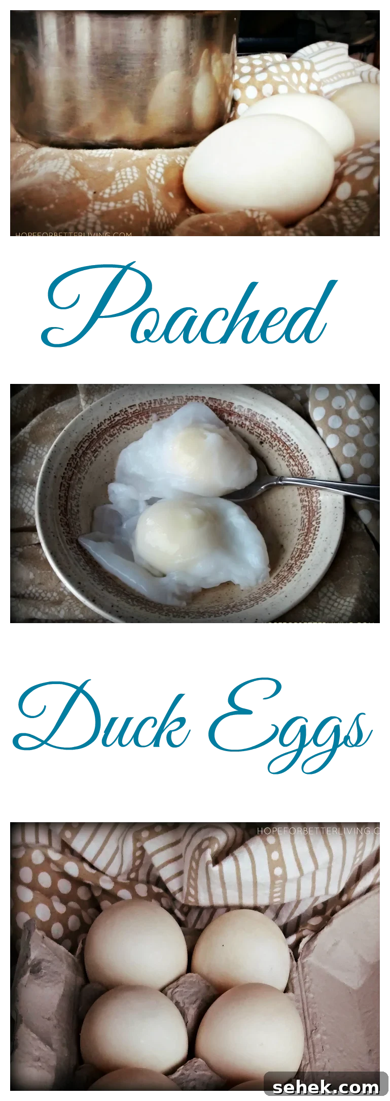 Perfectly Poached Duck Eggs: Step-by-Step Guide for Tender Yolks 3 img 5297 2