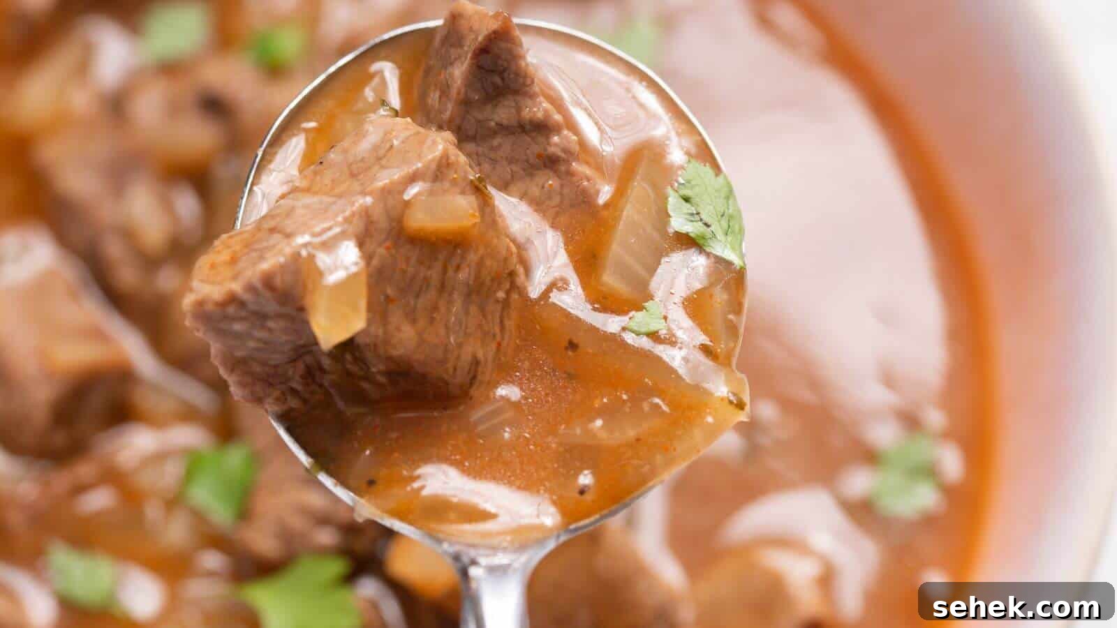 A spoon holding chunks of beef in a rich, brown stew garnished with small pieces of green herbs.
