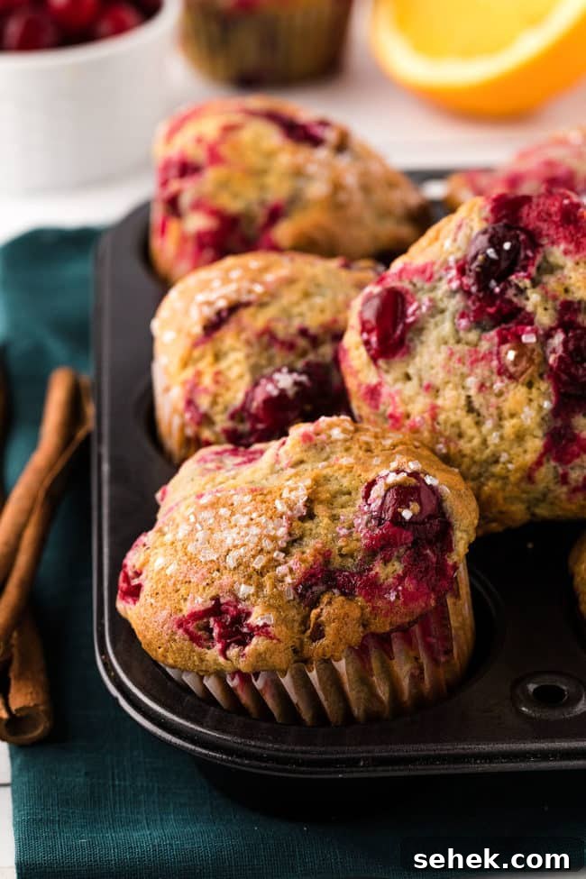 Cranberry Pecan Muffins: Perfect Bake Sale Treat 11 cranberry muffins in a pan