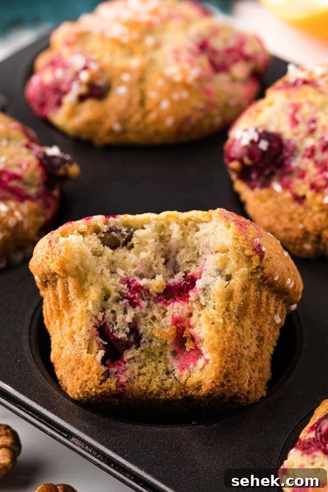 Cranberry Pecan Muffins: Perfect Bake Sale Treat 12 bite taken from a cranberry muffin in a pan