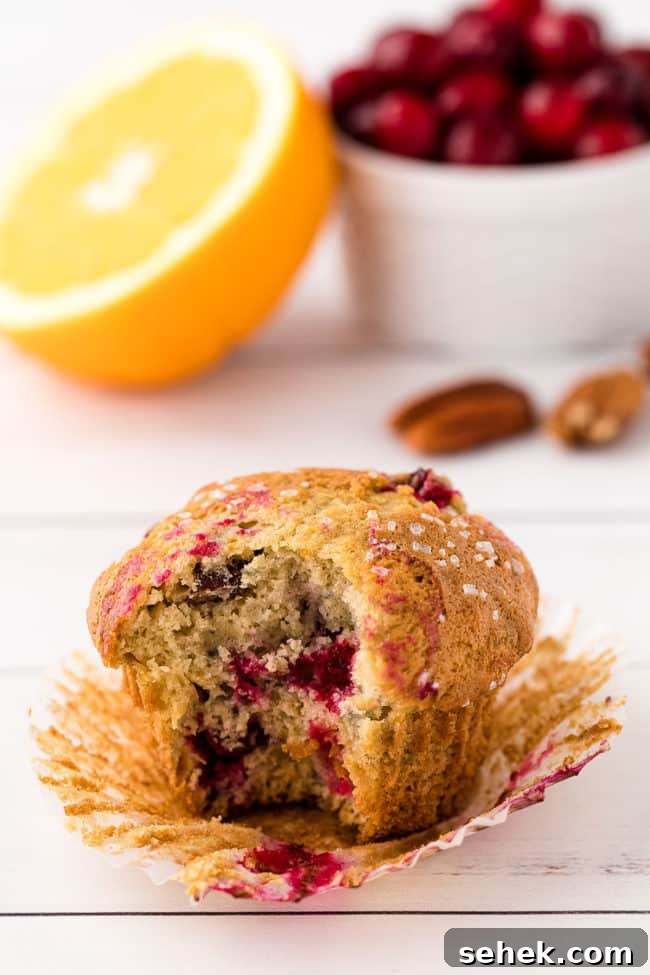Cranberry Pecan Muffins: Perfect Bake Sale Treat 13 wrapper pulled back on a muffin with a bite out and fresh cranberries and orange in background