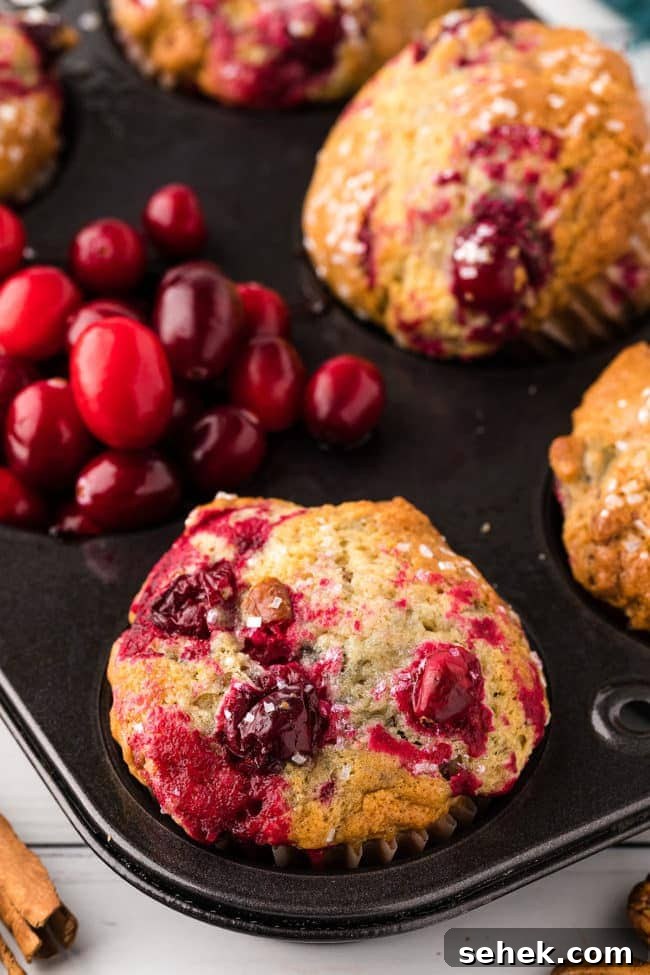 Cranberry Pecan Muffins: Perfect Bake Sale Treat 14 a pan of muffins with cranberries
