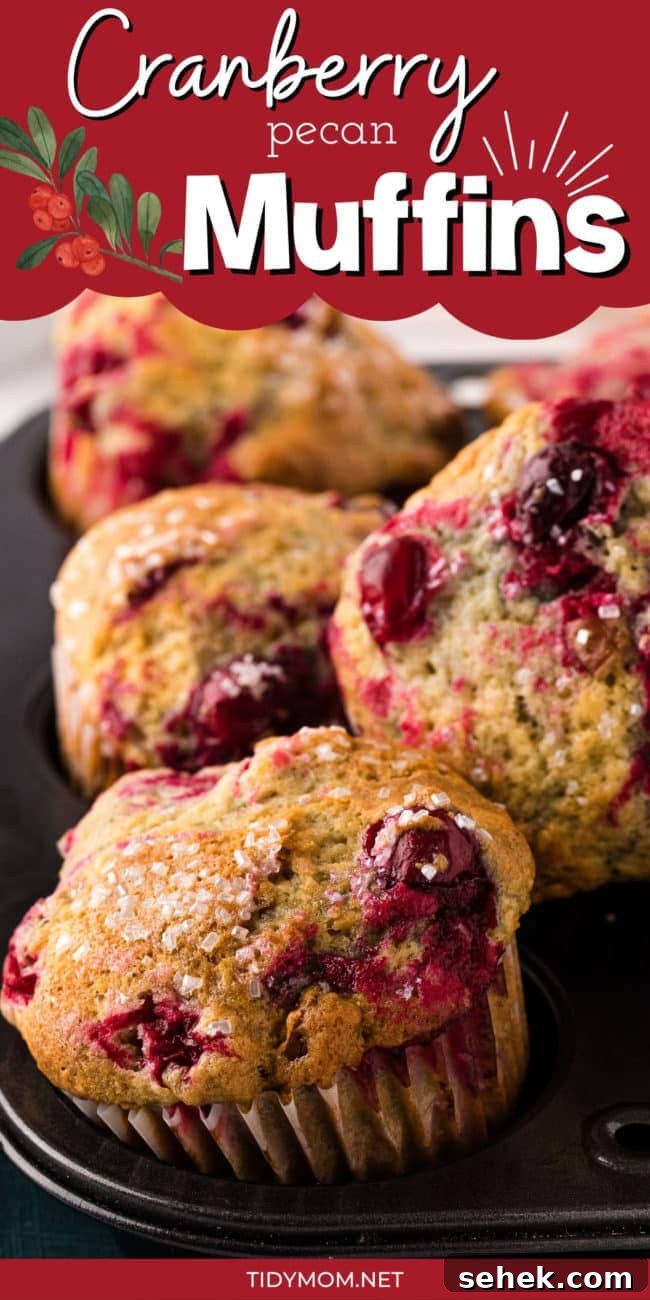 Cranberry Pecan Muffins: Perfect Bake Sale Treat 16 fresh baked muffins in a pan