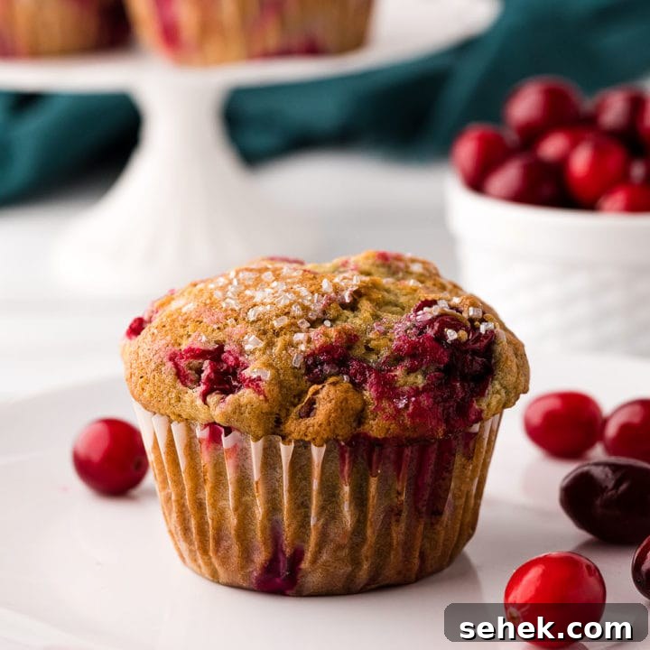 cranberry muffin on a white plate with fresh cranberries around it